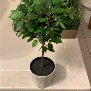 Faux home decor plants !